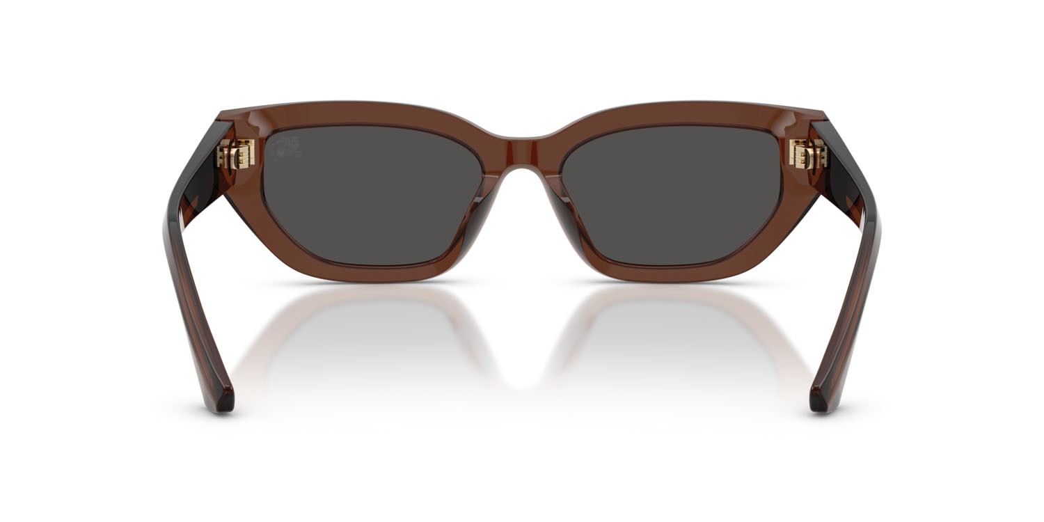 Sunglasses Burberry BE 4463D (411687) color marrone shape cat eye lenses grigio scuro