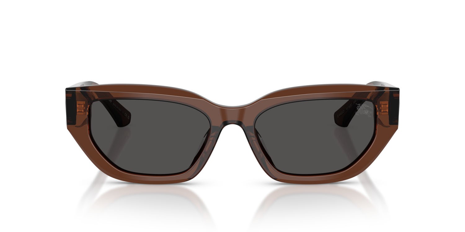 Sunglasses Burberry BE 4463D (411687) color marrone shape cat eye lenses grigio scuro