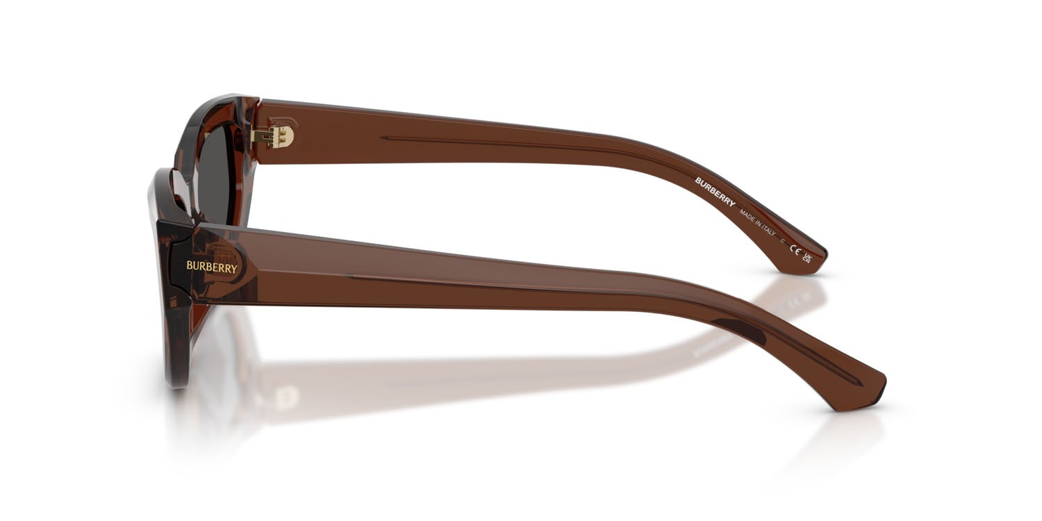 Sunglasses Burberry BE 4463D (411687) color marrone shape cat eye lenses grigio scuro
