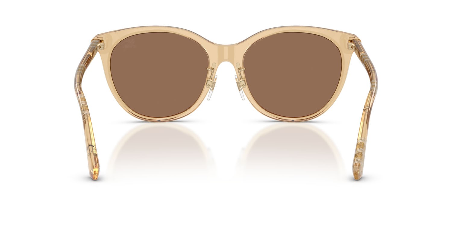 Sunglasses Burberry BE 4464D (416773) color beige shape pantos lenses marrone scuro
