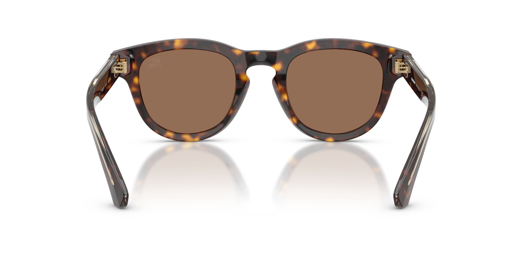 Occhiali da sole Burberry BE 4477 (420573) colore havana scuro forma pantos lenti marrone scuro