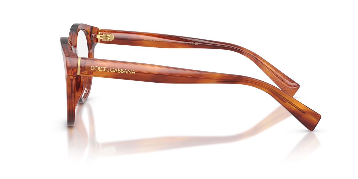 Eyeglasses Dolce & Gabbana DG 3421 (3221) color zenzero a righe shape pantos lenses lente demo