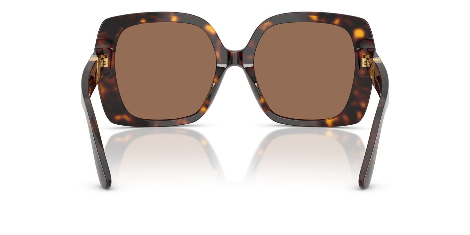 Sunglasses Dolce & Gabbana DG 4475 (502/73) color havana shape square lenses marrone scuro