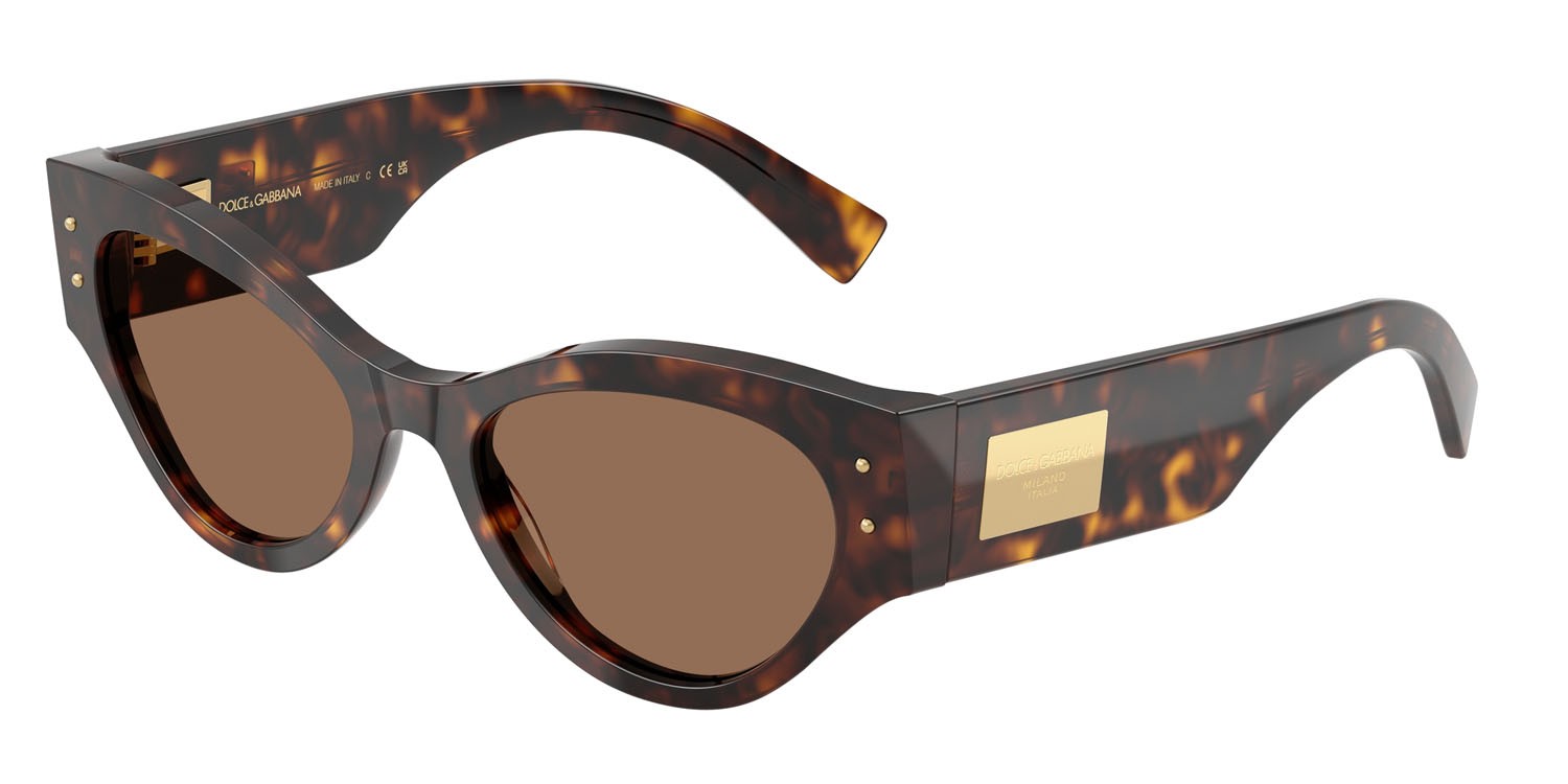 Occhiali da sole Dolce & Gabbana DG 4480 (502/73) colore havana forma farfalla lenti marrone scuro