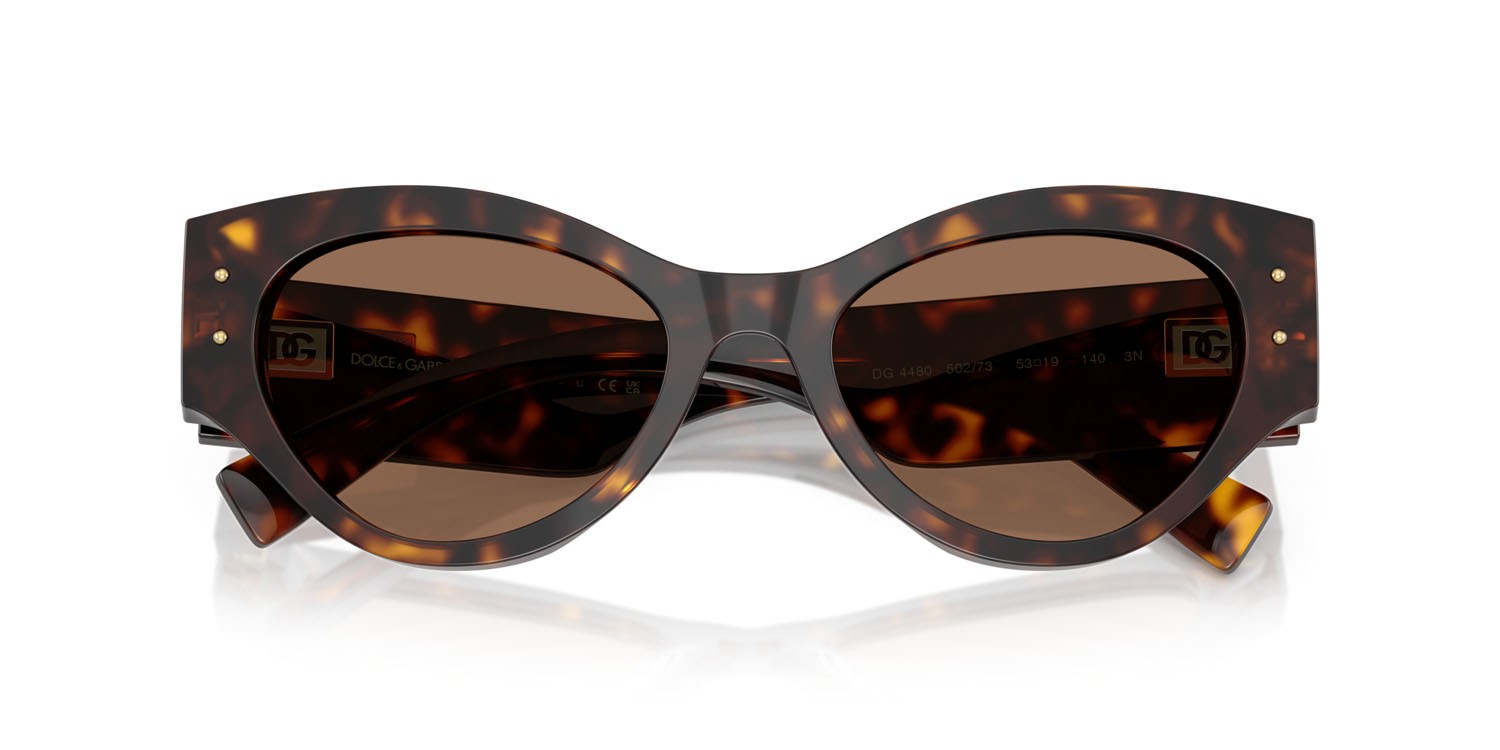 Occhiali da sole Dolce & Gabbana DG 4480 (502/73) colore havana forma farfalla lenti marrone scuro