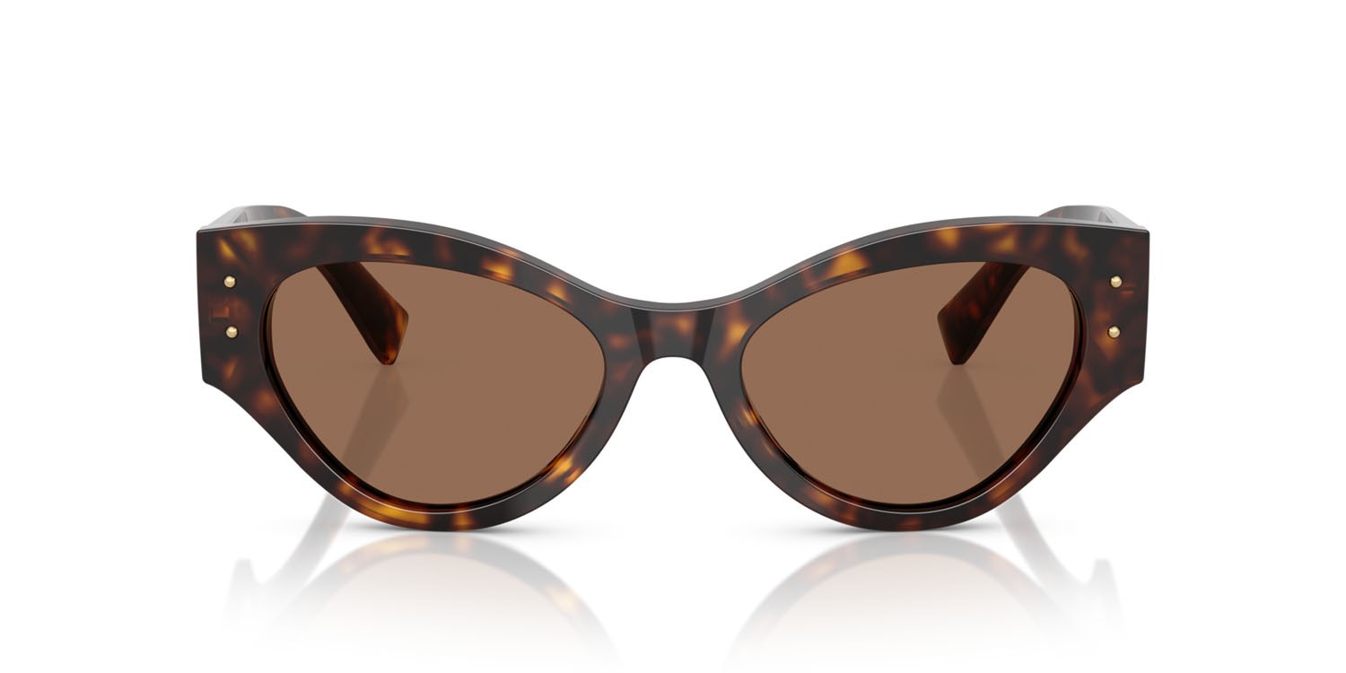 Occhiali da sole Dolce & Gabbana DG 4480 (502/73) colore havana forma farfalla lenti marrone scuro