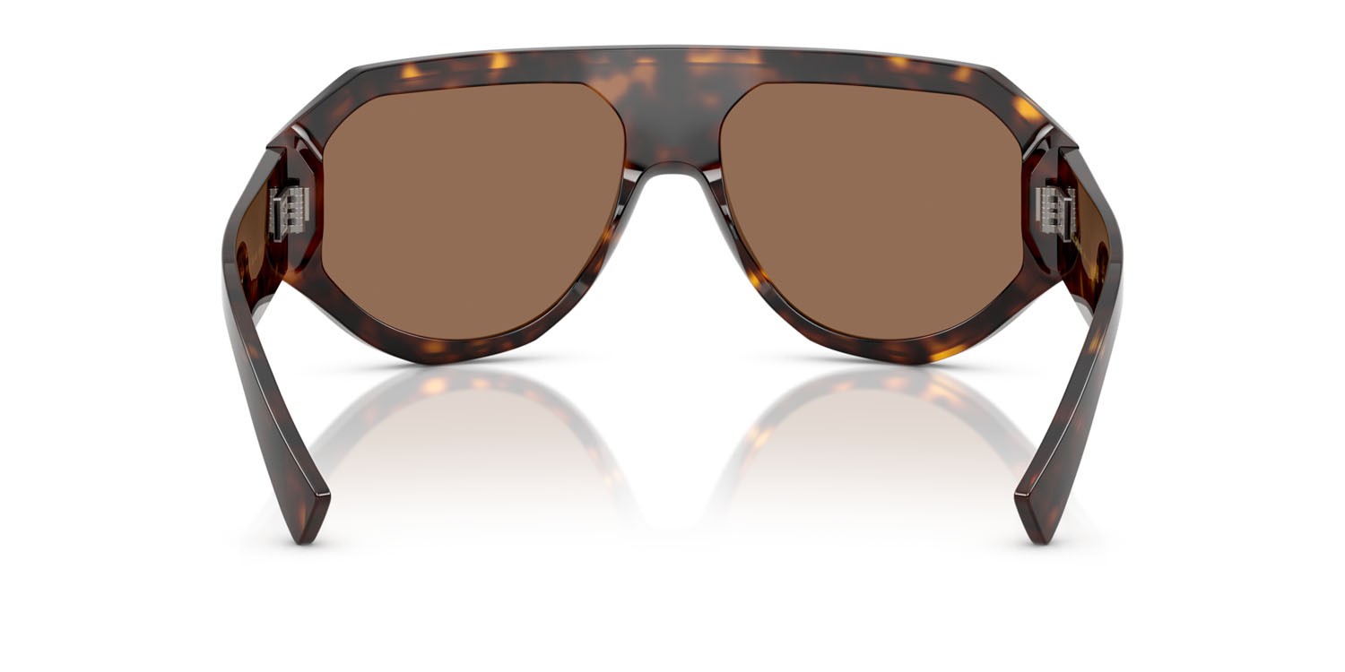 Sonnenbrillen Dolce & Gabbana DG 4481 (502/73) farbe havana form aviator gläser marrone scuro