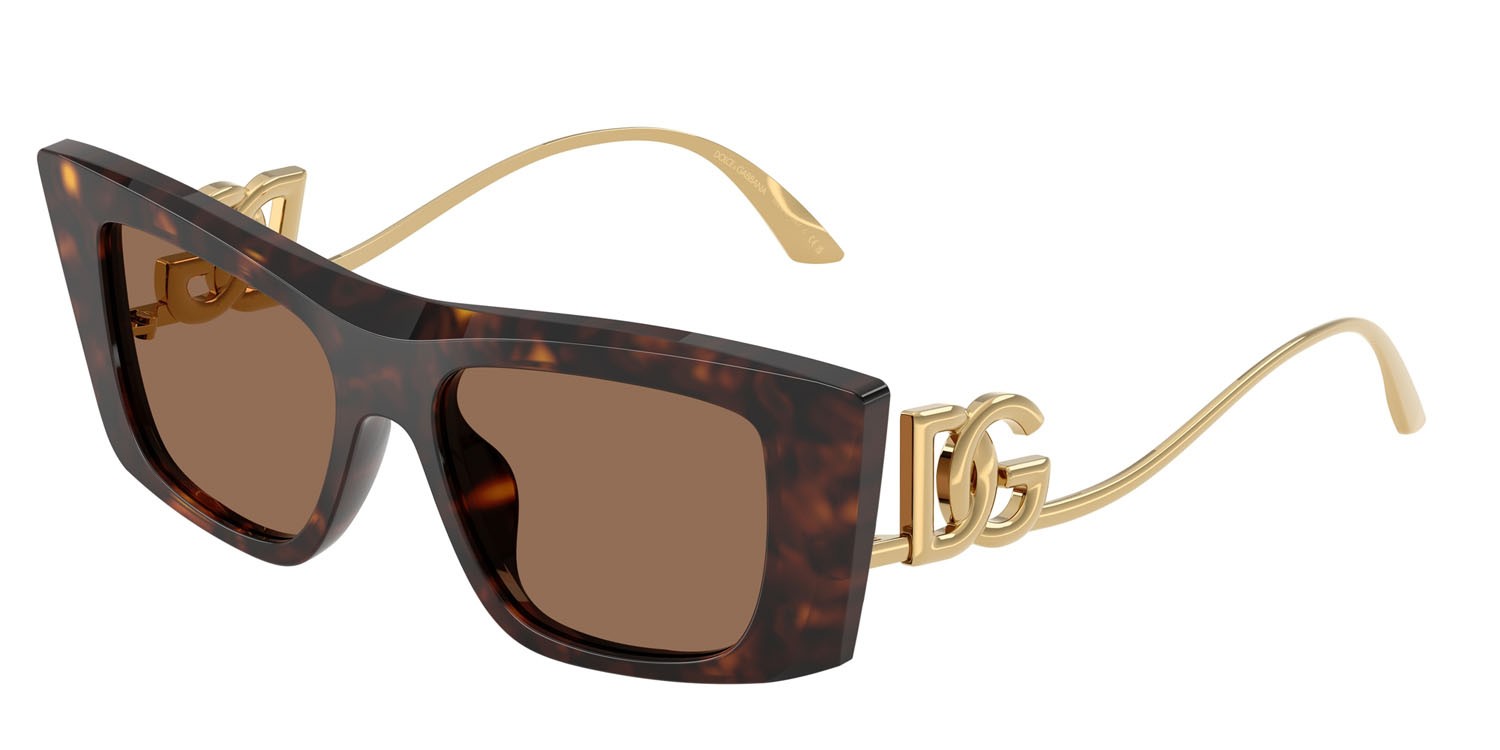 Sunglasses Dolce & Gabbana DG 4510 (502/73) color tartarugato marrone shape cat eye lenses marrone scuro