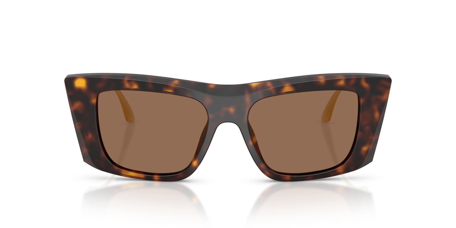 Sunglasses Dolce & Gabbana DG 4510 (502/73) color tartarugato marrone shape cat eye lenses marrone scuro