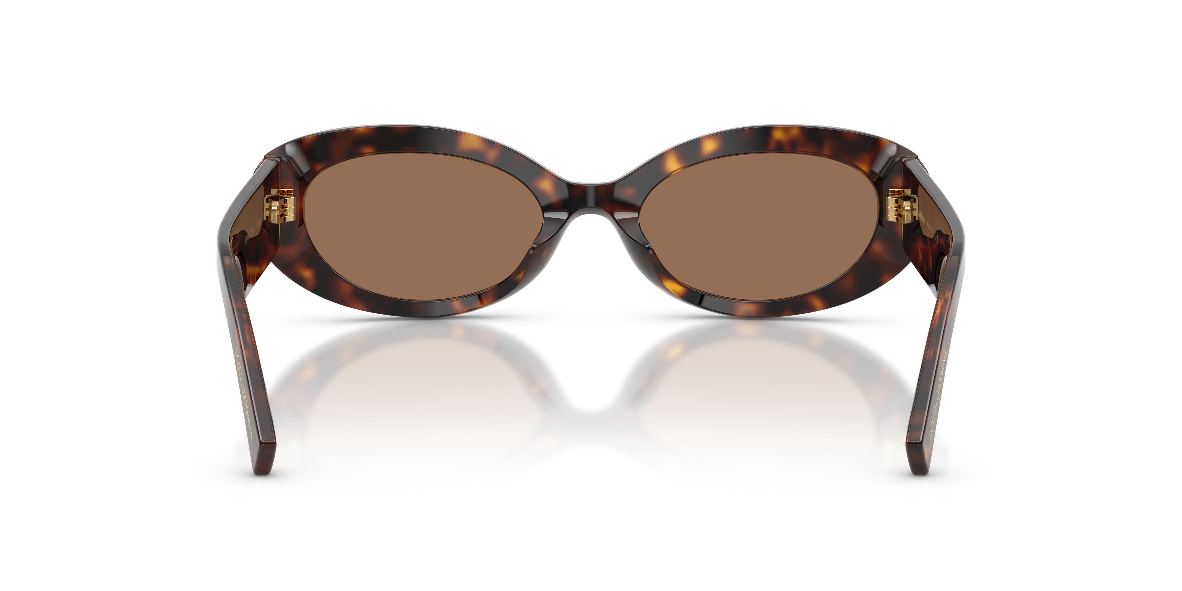 Sunglasses Dolce & Gabbana DG 4537 (502/73) color havana shape oval lenses marrone scuro