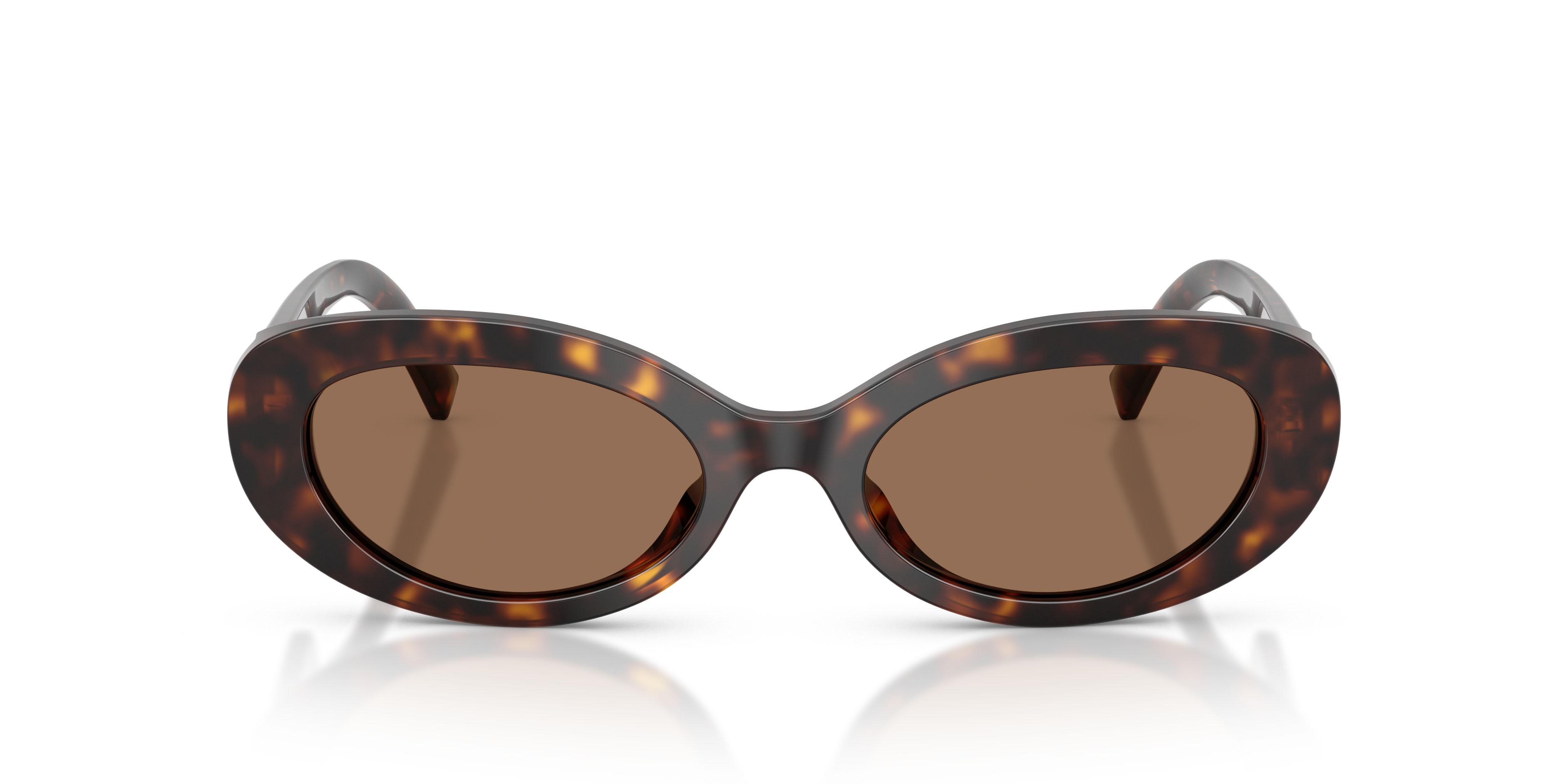 Sunglasses Dolce & Gabbana DG 4537 (502/73) color havana shape oval lenses marrone scuro