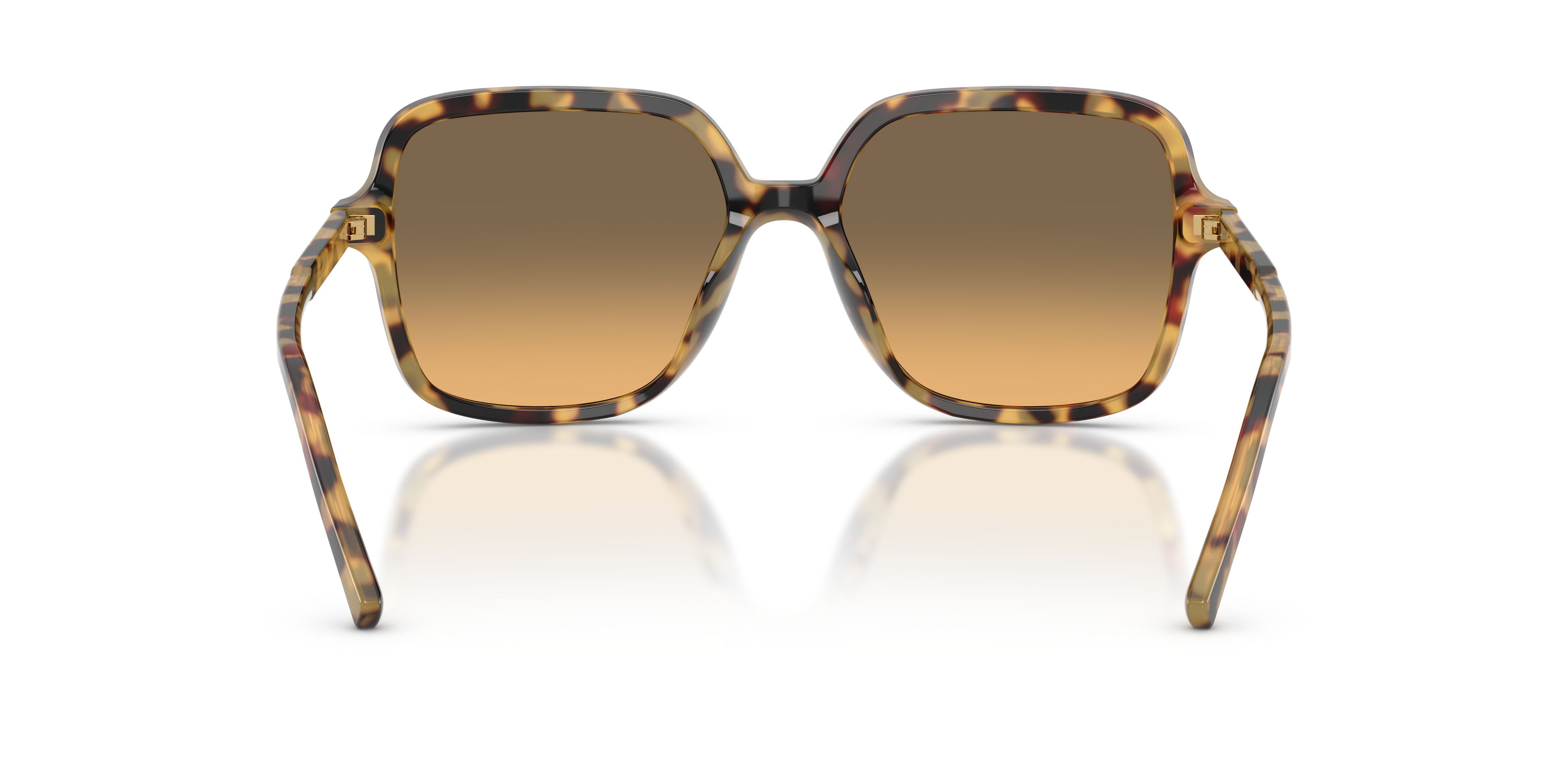 Sunglasses Dolce & Gabbana DG 4539 (512/11) color havana giallo shape square lenses gialle sfumato grigio