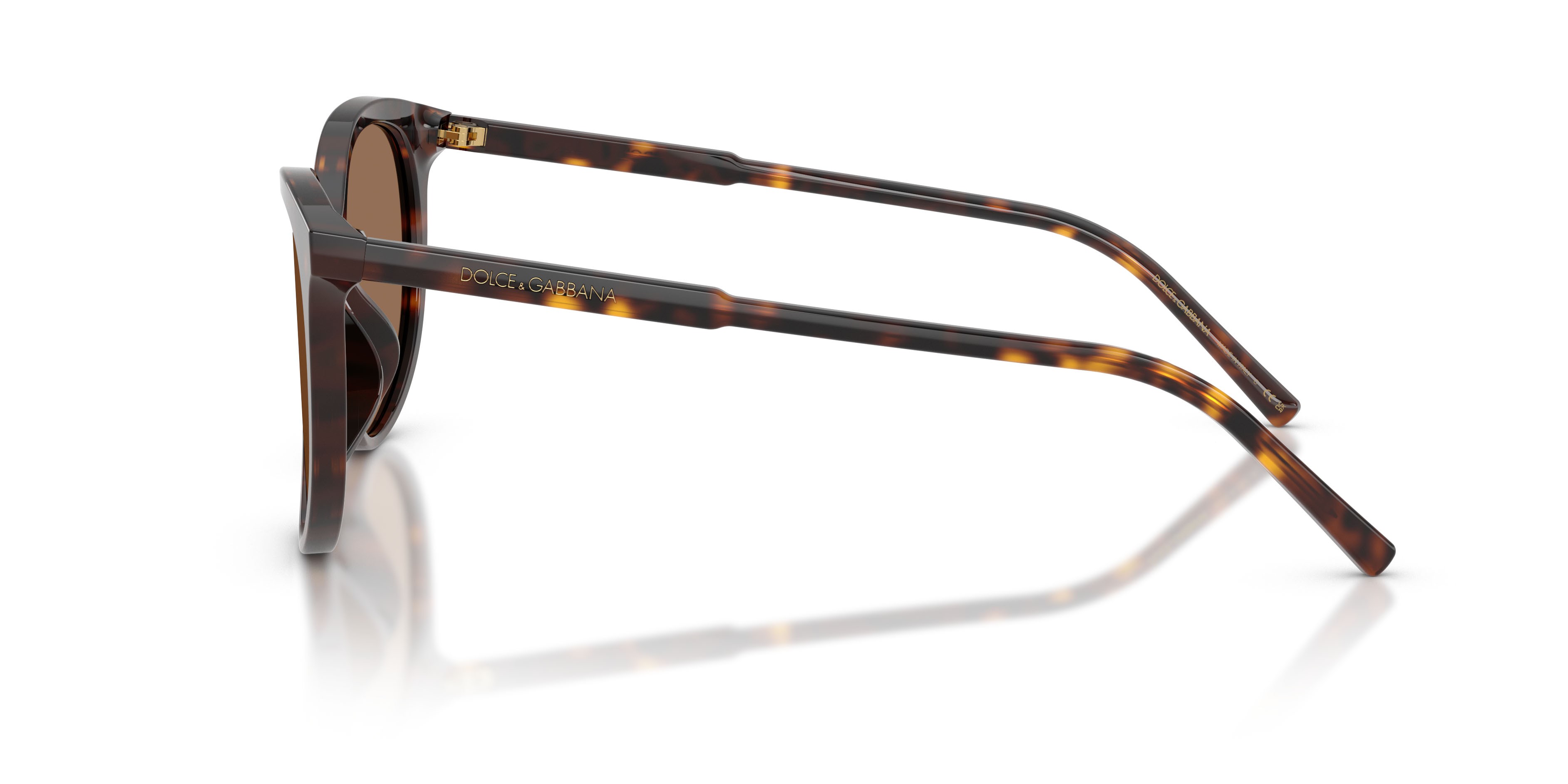 Sunglasses Dolce & Gabbana DG 4540 (502/13) color havana shape pantos lenses marrone scuro