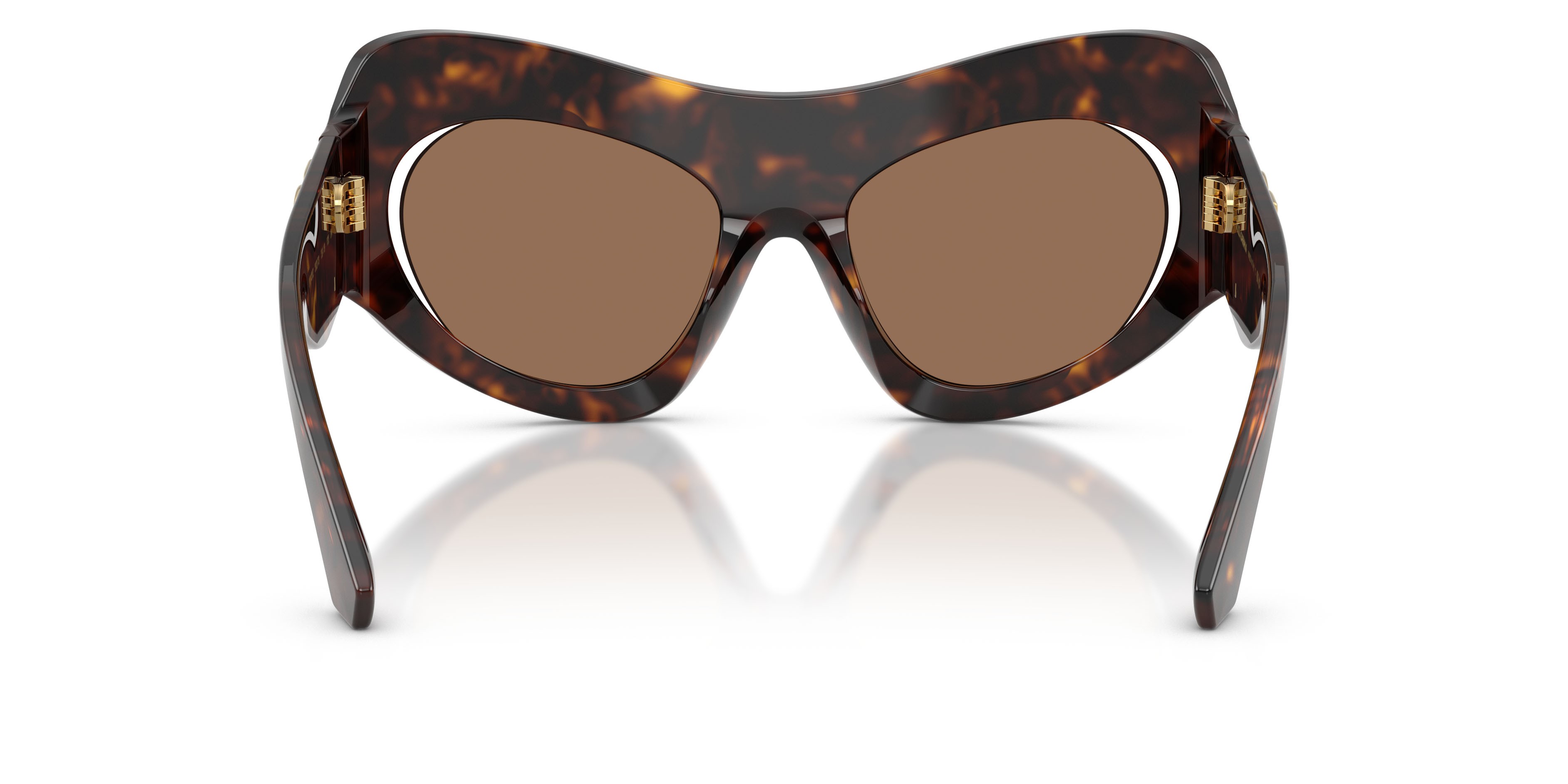 Sunglasses Dolce & Gabbana DG 4552 (502/73) color havana shape cat eye lenses marrone scuro