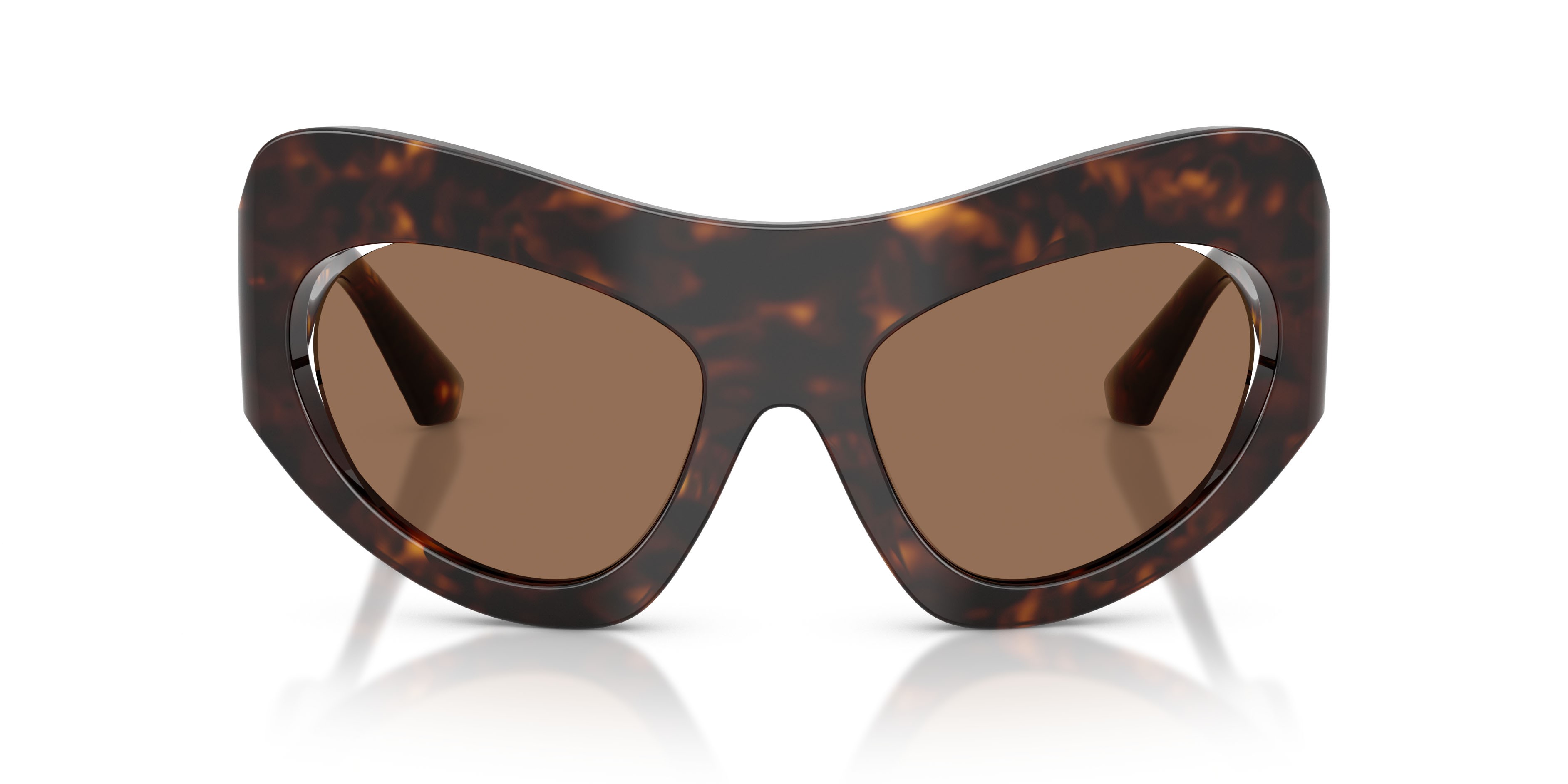 Sunglasses Dolce & Gabbana DG 4552 (502/73) color havana shape cat eye lenses marrone scuro