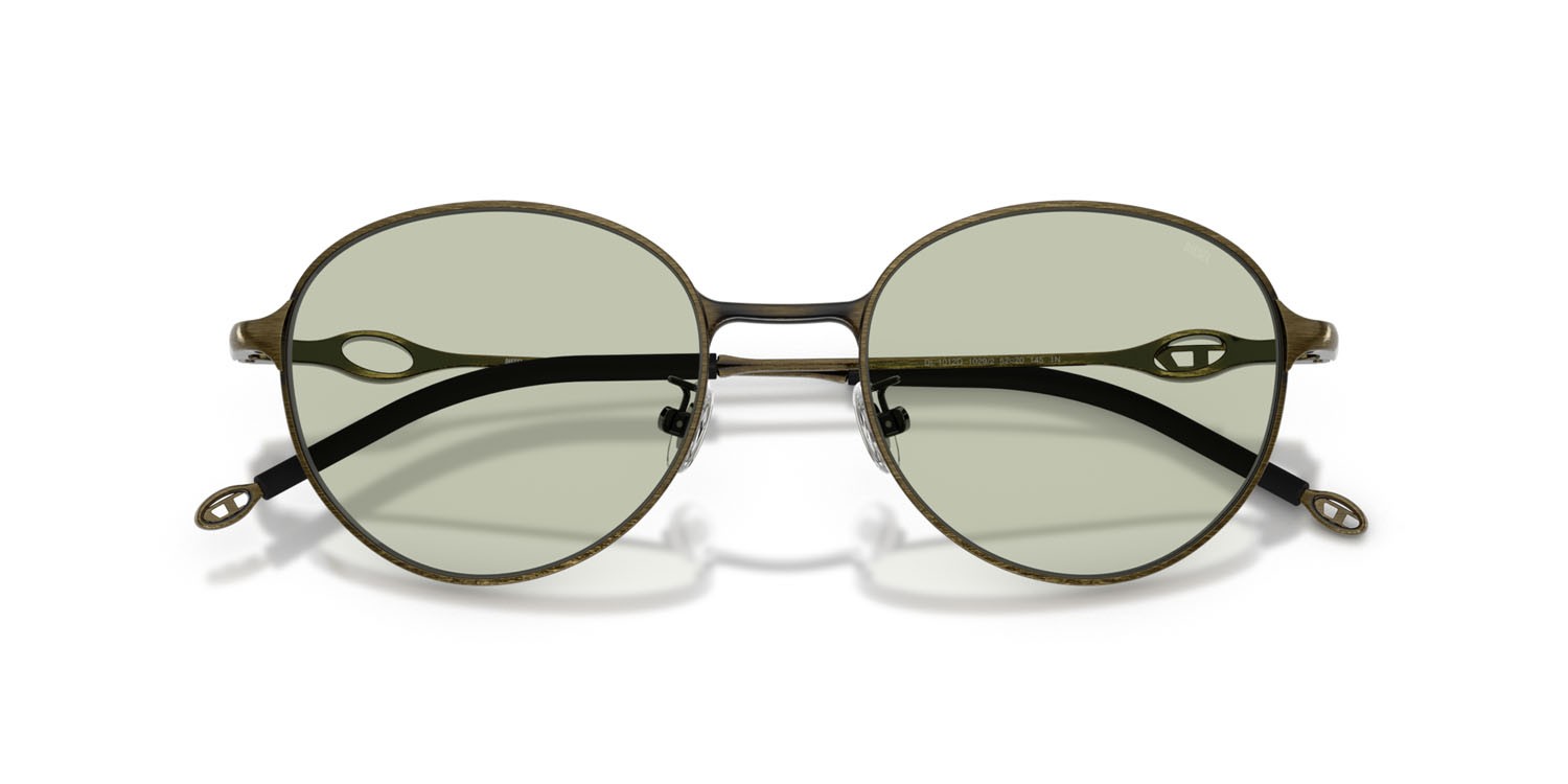 Sunglasses Diesel DL 1012D (1029/2) color brushed light grey green shape oval lenses verde chiaro