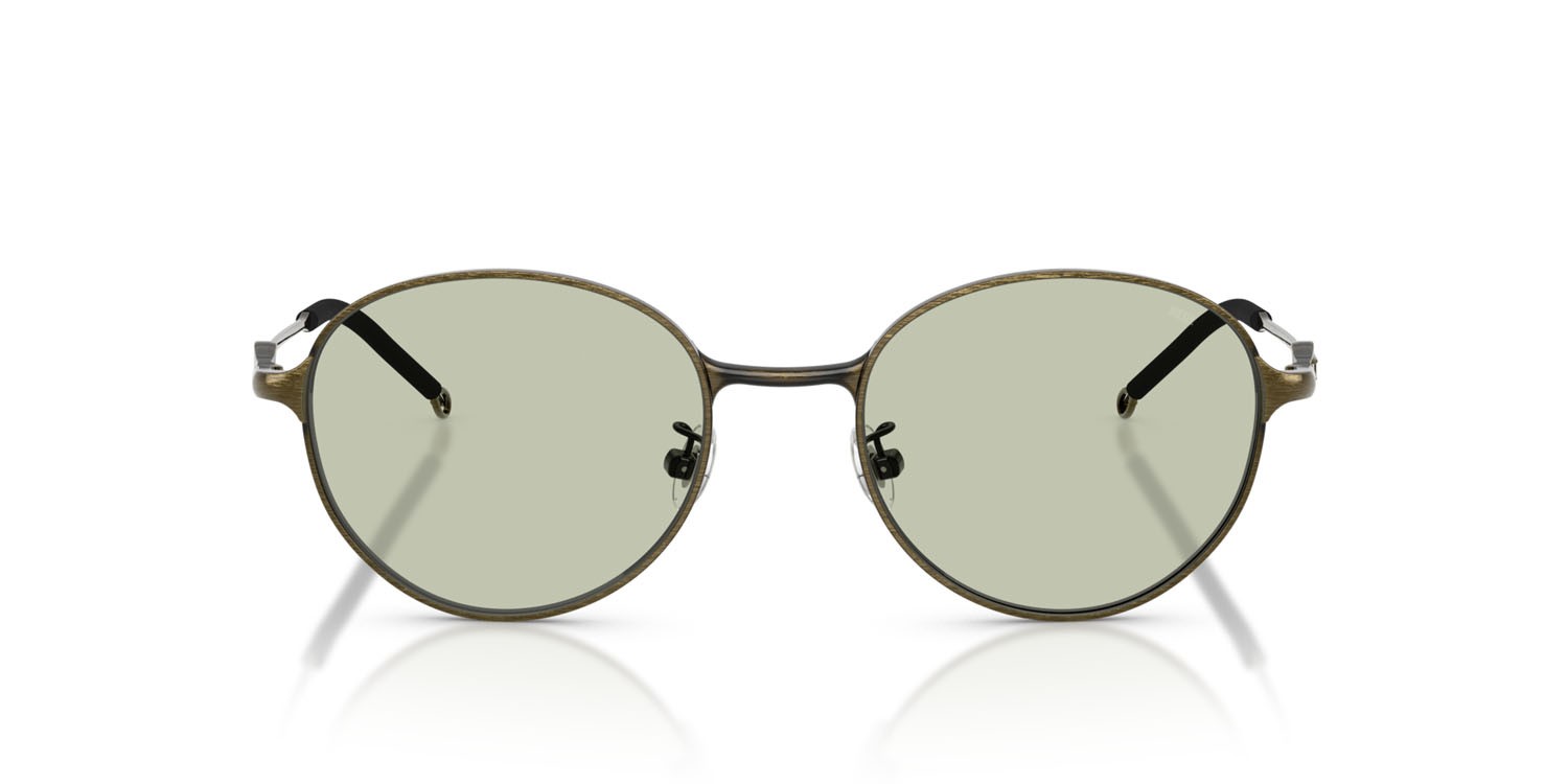 Sunglasses Diesel DL 1012D (1029/2) color brushed light grey green shape oval lenses verde chiaro