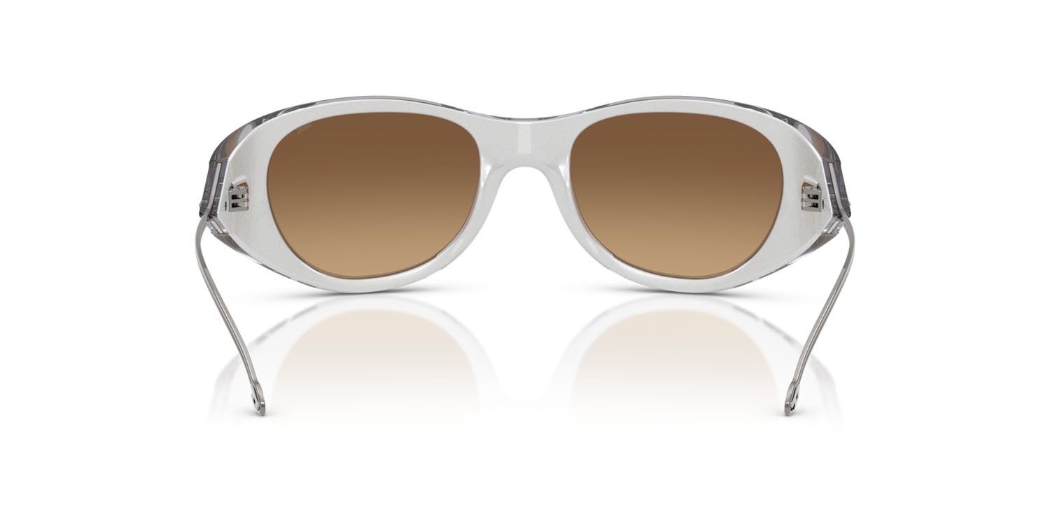 Sunglasses Diesel DL 3003 (507/B8) color grigio metallizzato shape oval lenses marrone sfumato argento a specchio
