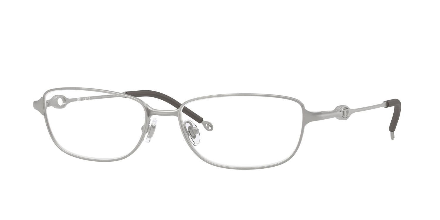 Eyeglasses Diesel DL 5002 (1007) color argento opaco shape rectangle lenses lente demo