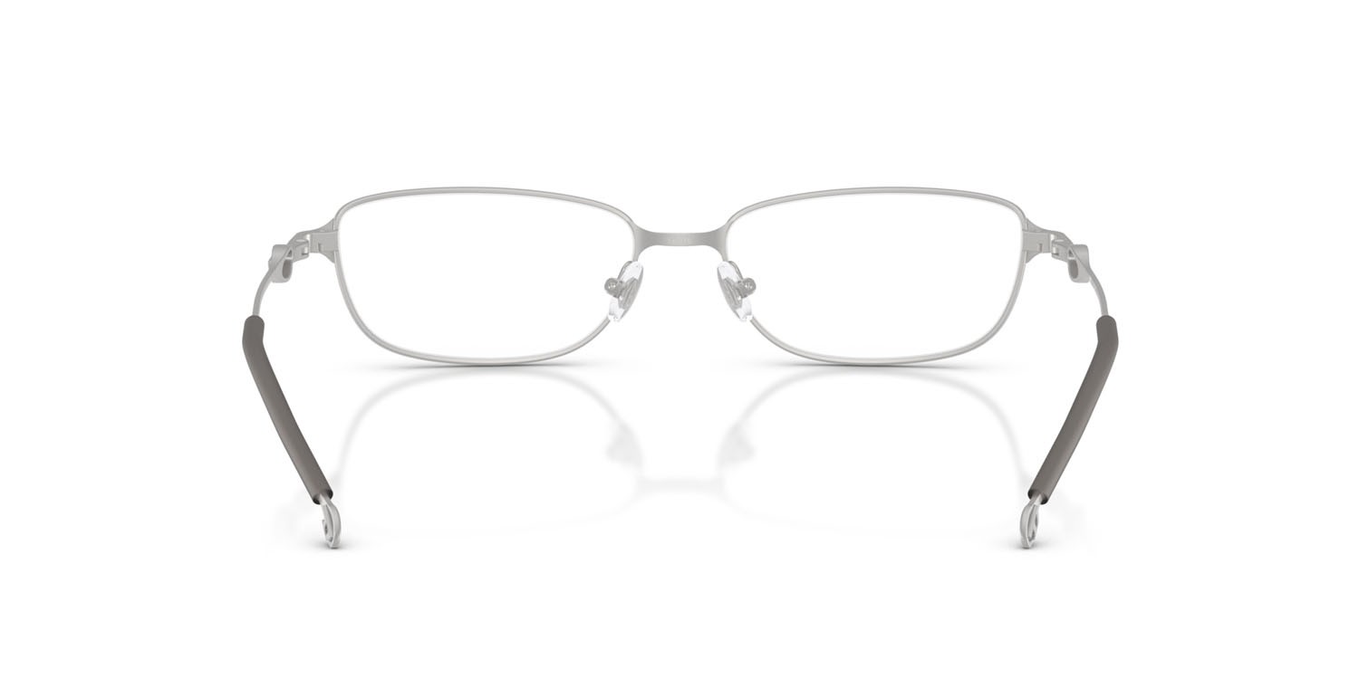 Eyeglasses Diesel DL 5002 (1007) color argento opaco shape rectangle lenses lente demo