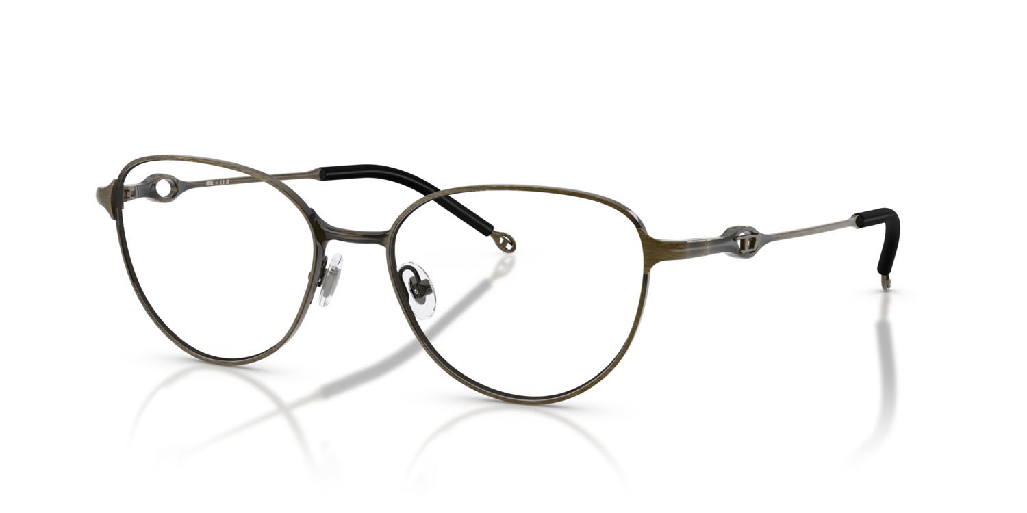 Eyeglasses Diesel DL 5003 (1029) color brushed light grey green shape oval lenses lente demo