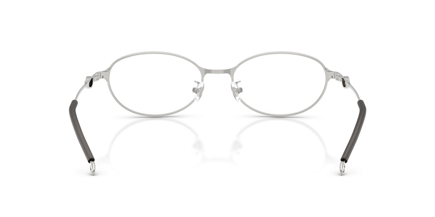 Eyeglasses Diesel DL 5004D (1001) color argento lucido shape oval lenses lente demo