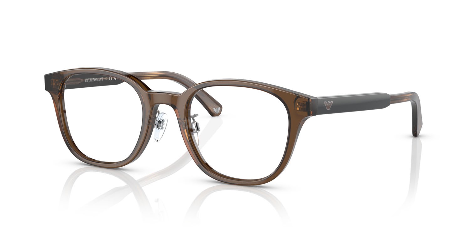 Brillen Emporio Armani EA 3216D (5307) farbe marrone trasparente form pantos gläser lente demo