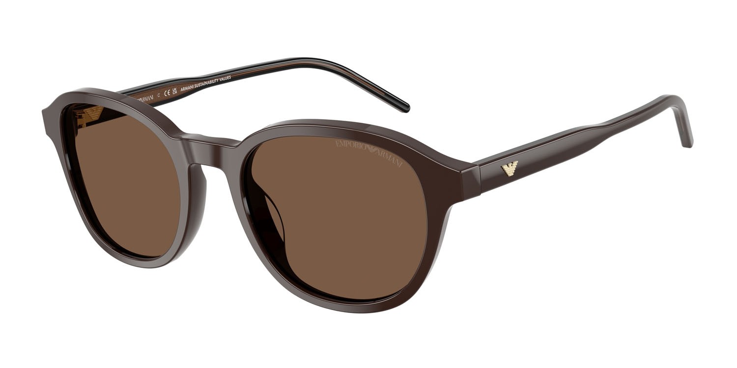 Occhiali da sole Emporio Armani EA 4247U (625573) colore marrone lucido forma pantos lenti marrone