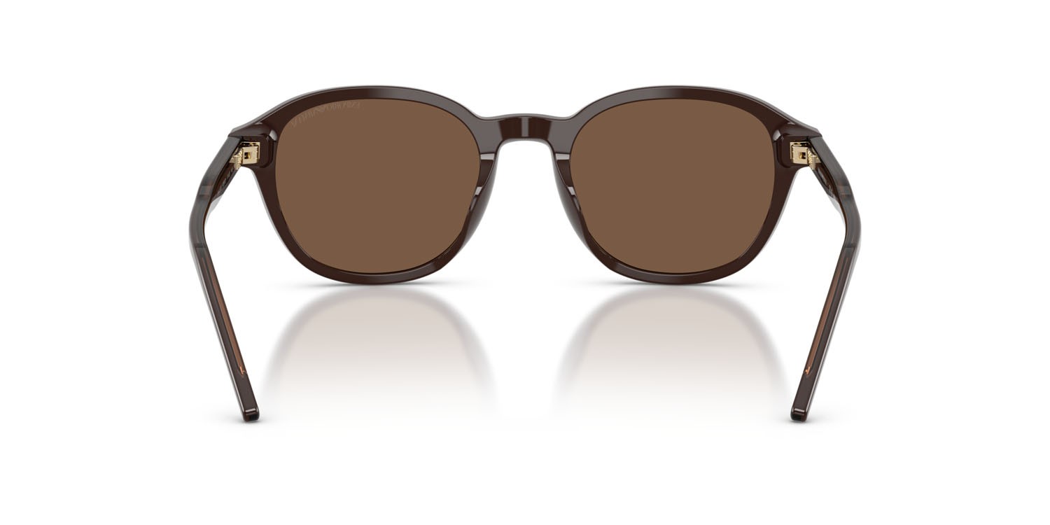Occhiali da sole Emporio Armani EA 4247U (625573) colore marrone lucido forma pantos lenti marrone
