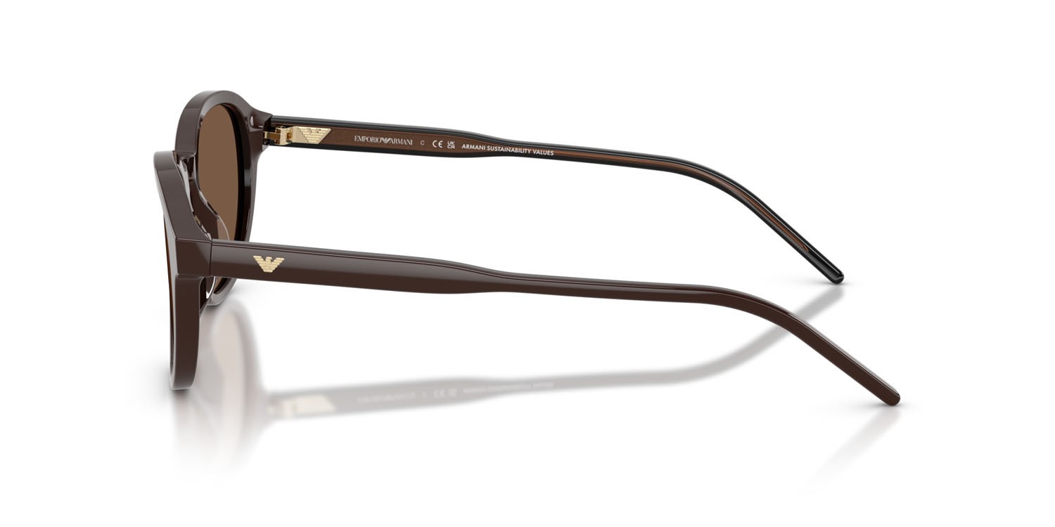 Occhiali da sole Emporio Armani EA 4247U (625573) colore marrone lucido forma pantos lenti marrone