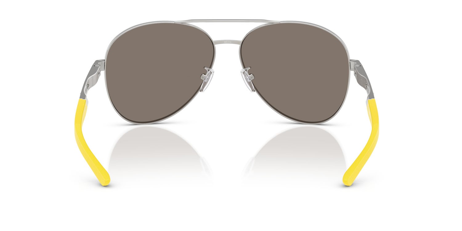 Occhiali da sole Ferrari Scuderia FZ 5002D (107/6G) colore argento spazzolato forma aviator lenti argento a specchio