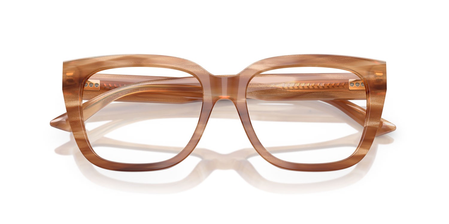 Eyeglasses Jimmy Choo JC 3019B (5055) color havana a righe marrone con glitter shape square lenses lente demo