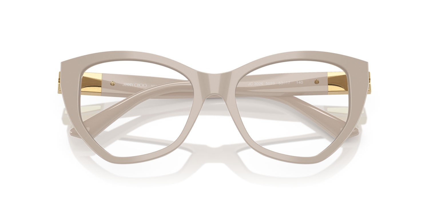 Eyeglasses Jimmy Choo JC 3026 (5033) color cenere shape irregular lenses lente demo
