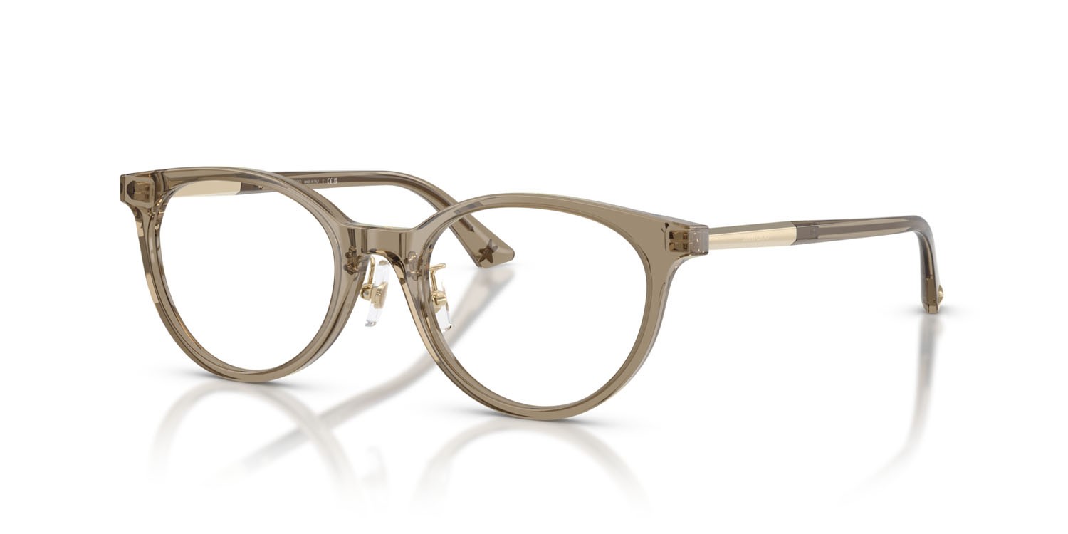 Eyeglasses Jimmy Choo JC 3039D (5051) color marrone trasparente shape round lenses lente demo
