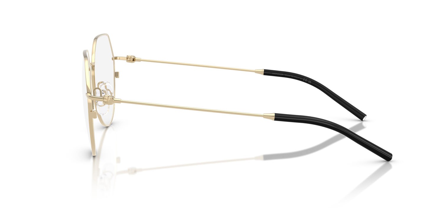 Eyeglasses Moncler ME 1002 (1007) color oro pallido shape irregular lenses lente demo