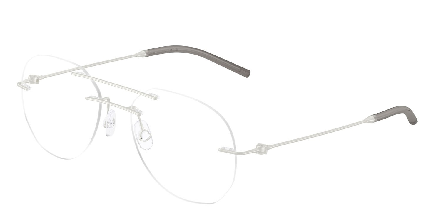 Eyeglasses Moncler ME 1003 (1004) color argento opaco shape irregular lenses lente demo