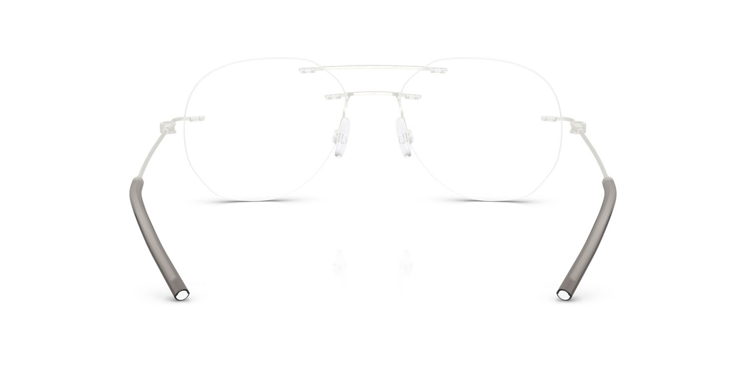 Eyeglasses Moncler ME 1003 (1004) color argento opaco shape irregular lenses lente demo