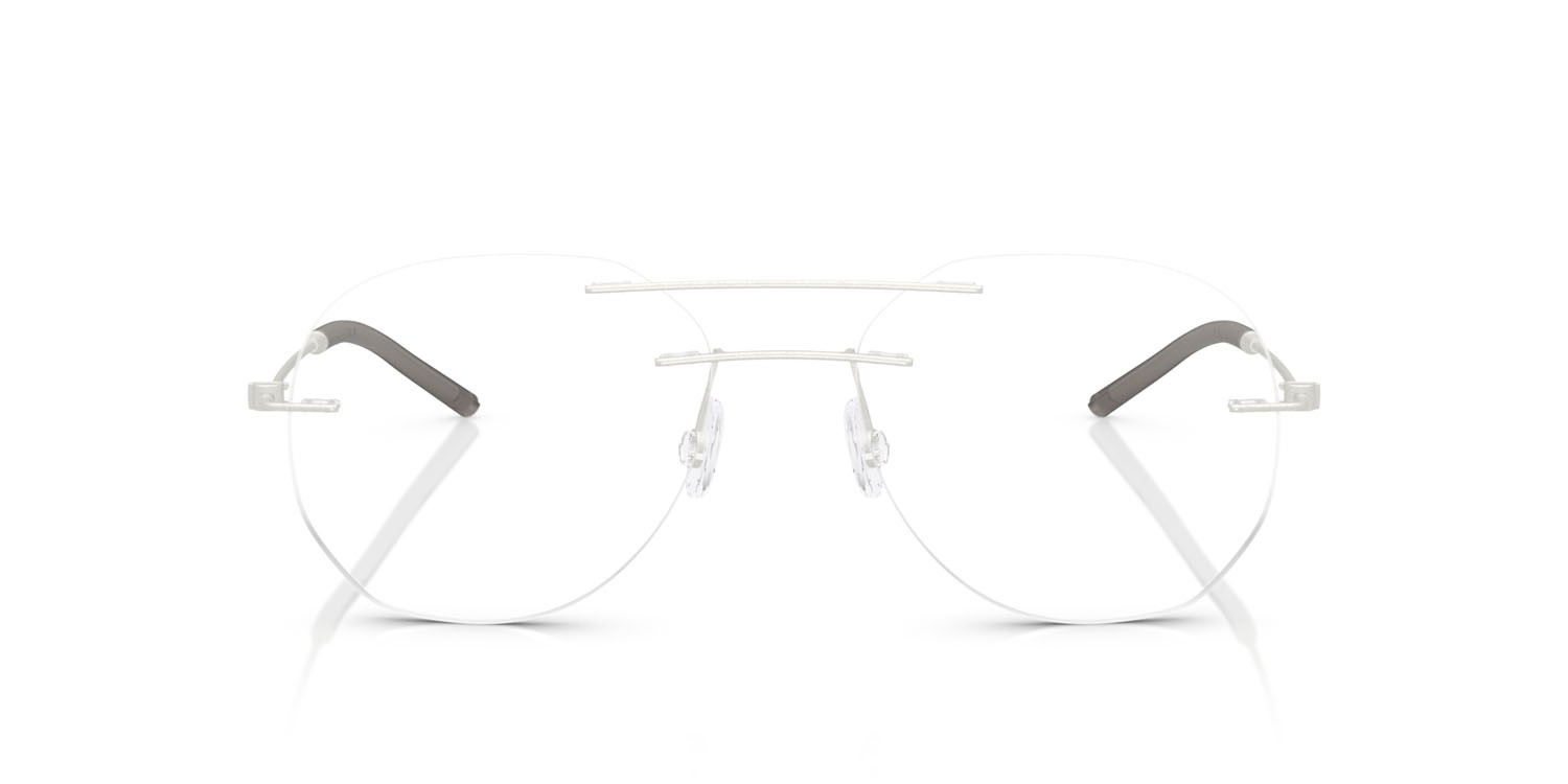 Eyeglasses Moncler ME 1003 (1004) color argento opaco shape irregular lenses lente demo