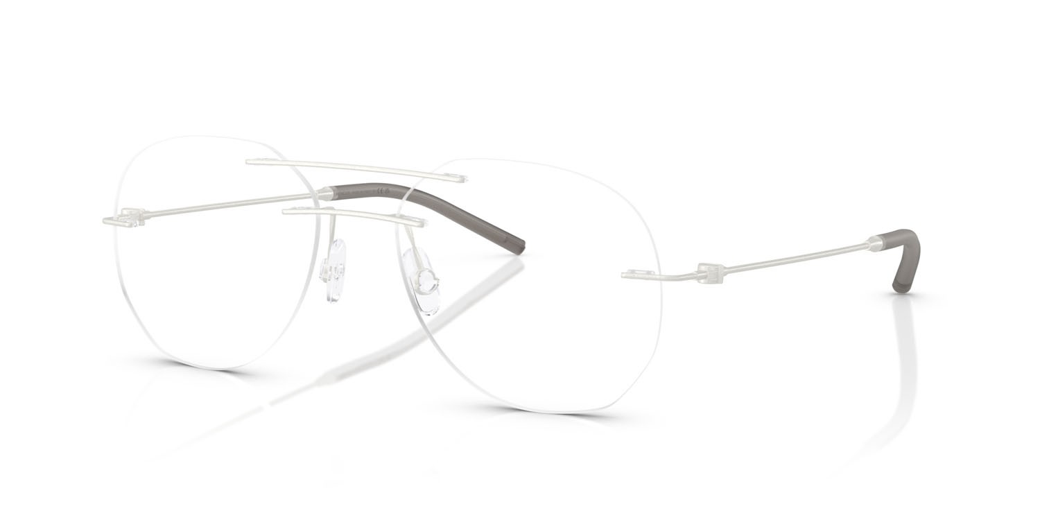Eyeglasses Moncler ME 1003 (1004) color argento opaco shape irregular lenses lente demo