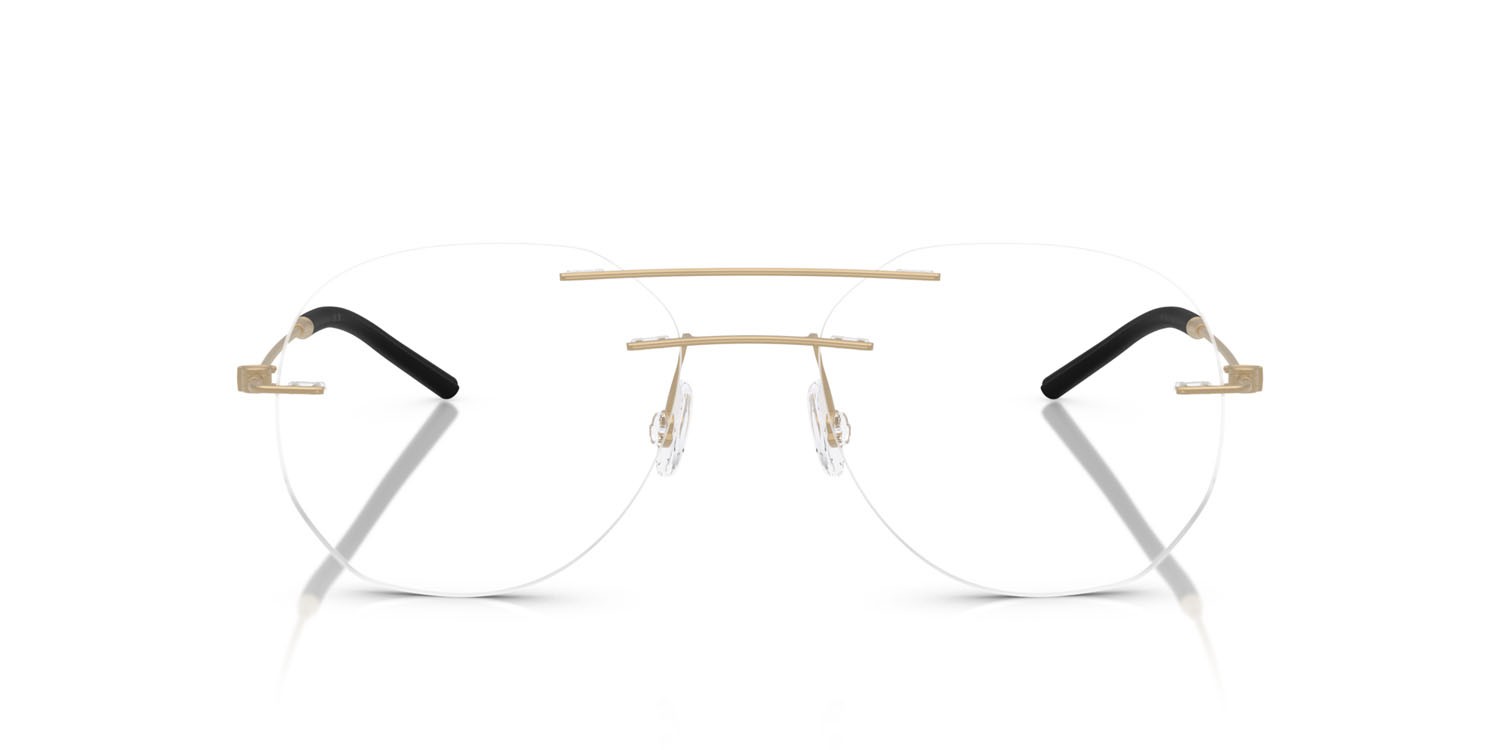 Eyeglasses Moncler ME 1003 (1006) color oro opaco shape irregular lenses lente demo