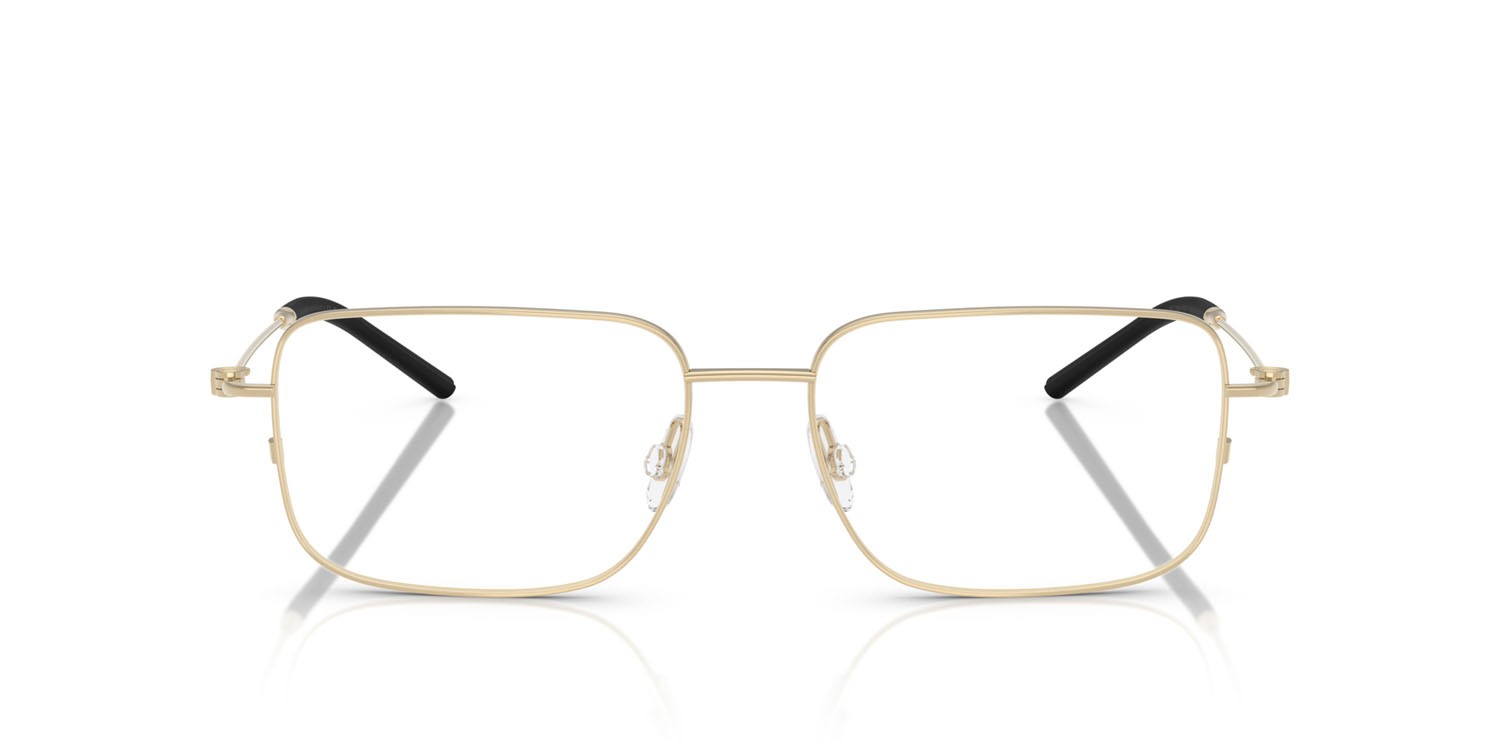 Eyeglasses Moncler ME 1004 (1007) color oro pallido shape irregular lenses lente demo