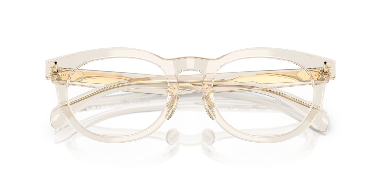 Eyeglasses Moncler ME 2004D (3003) color burro trasparente shape pantos lenses lente demo