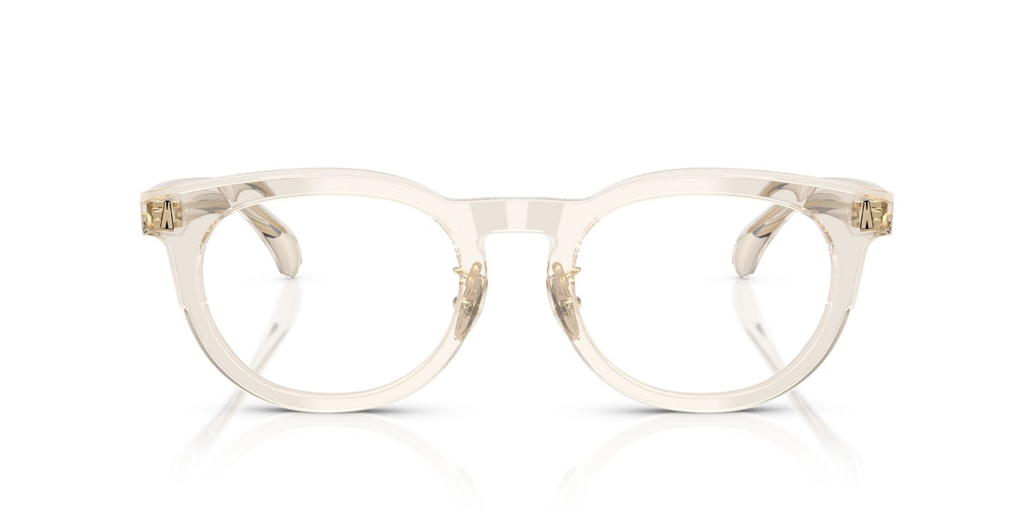 Eyeglasses Moncler ME 2004D (3003) color burro trasparente shape pantos lenses lente demo