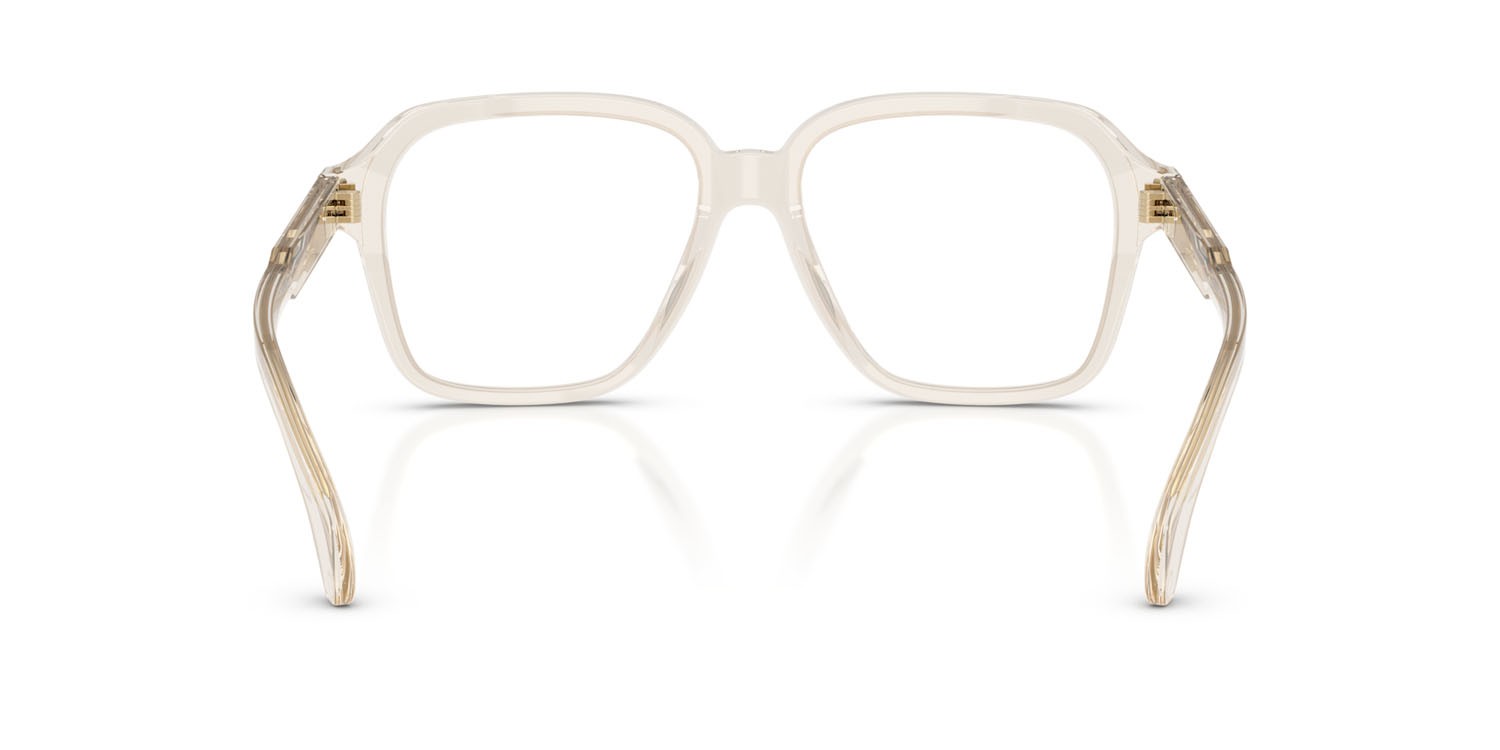Eyeglasses Moncler ME 2010 (3003) color burro lucido trasparente shape square lenses lente demo