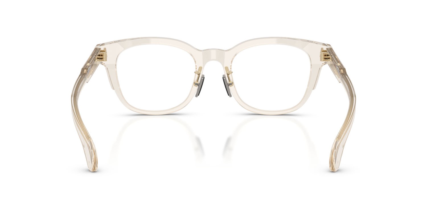 Eyeglasses Moncler ME 2011D (3003) color burro lucido trasparente shape pantos lenses lente demo