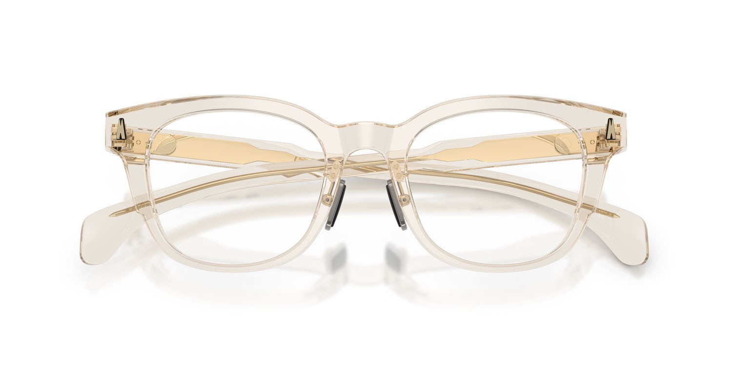 Eyeglasses Moncler ME 2011D (3003) color burro lucido trasparente shape pantos lenses lente demo