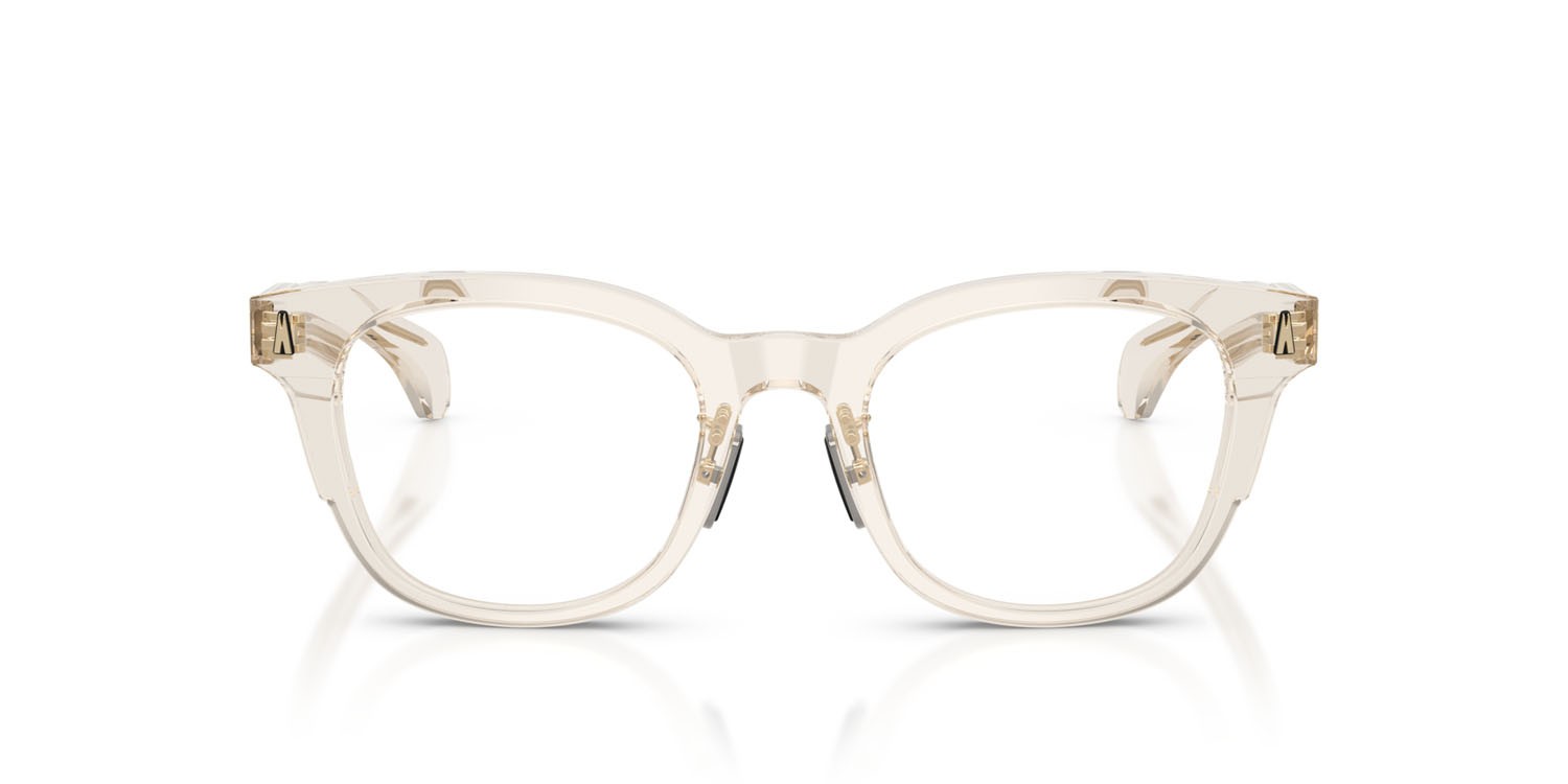 Eyeglasses Moncler ME 2011D (3003) color burro lucido trasparente shape pantos lenses lente demo