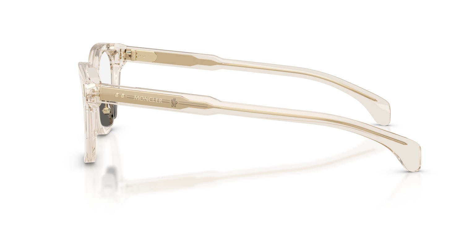 Eyeglasses Moncler ME 2011D (3003) color burro lucido trasparente shape pantos lenses lente demo