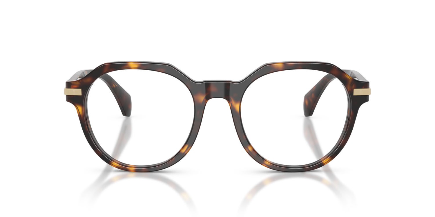 Eyeglasses Moncler ME 2014 (3002) color havana lucido shape pantos lenses lente demo