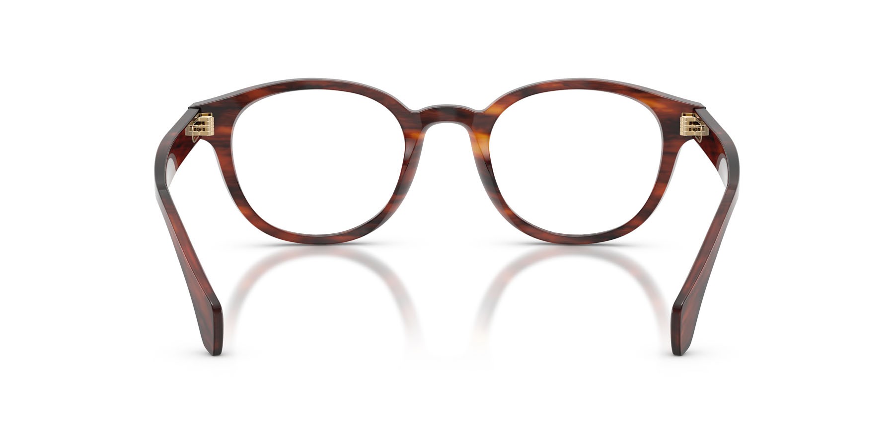 Eyeglasses Moncler ME 2020 (3034) color marrone havana a righe lucido shape round lenses lente demo